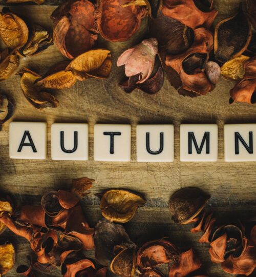 autumn-word-surrounded-with-leaves-3177239